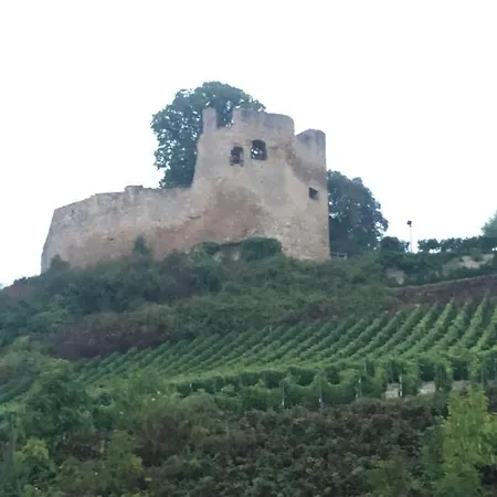 Rosalie Burgblick Europapark In Ca 15min Erreichbar Kenzingen