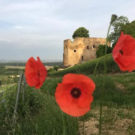 Rosalie Burgblick Europapark In Ca 15min Erreichbar