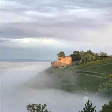 Rosalie Burgblick Europapark In Ca 15min Erreichbar