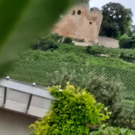 Apartament Rosalie Burgblick Europapark In Ca 15min Erreichbar *