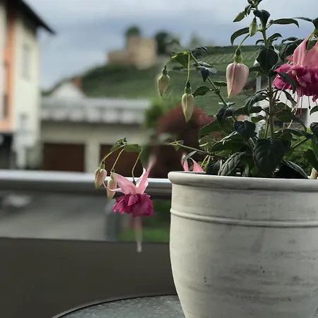 Appartement Rosalie Burgblick Europapark In Ca 15min Erreichbar Kenzingen