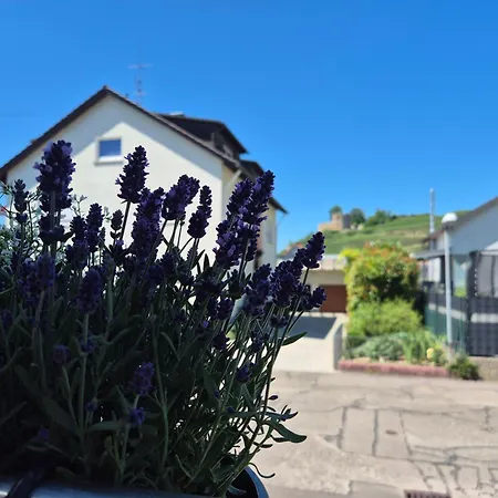 Rosalie Burgblick Europapark In Ca 15min Erreichbar Appartement