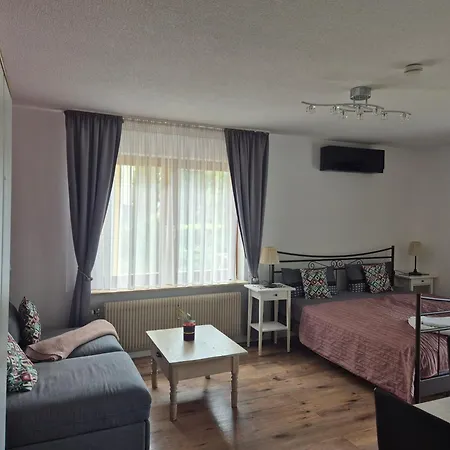 Rosalie Burgblick Europapark In Ca 15min Erreichbar Apartament Kenzingen